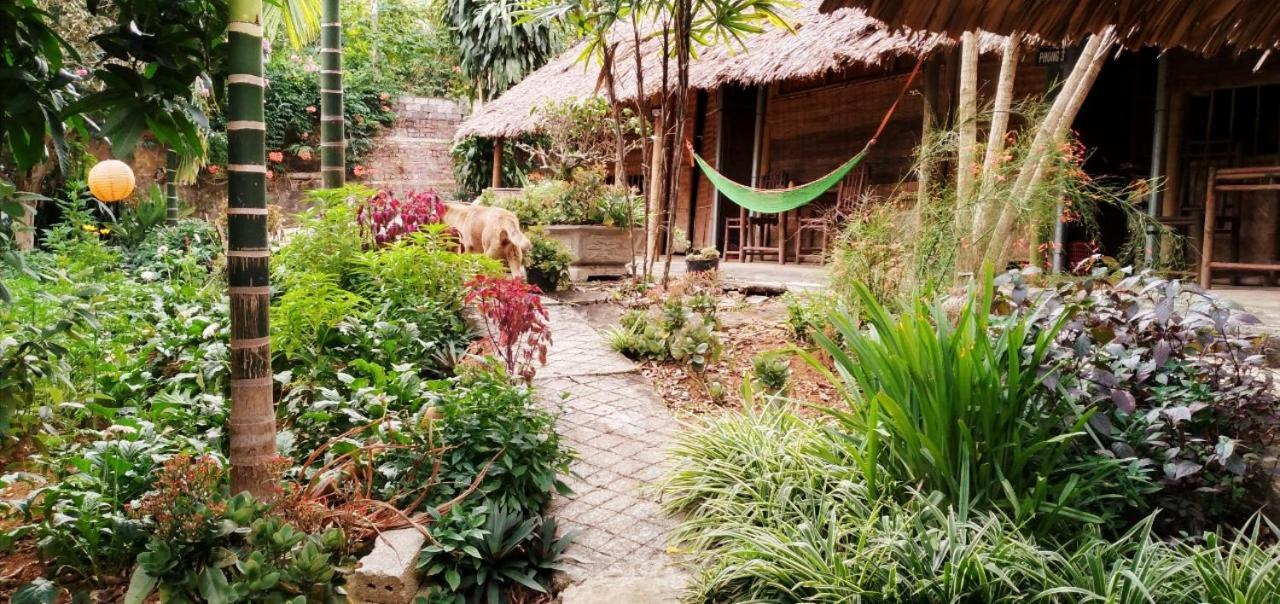 بافي Family Homestay المظهر الخارجي الصورة