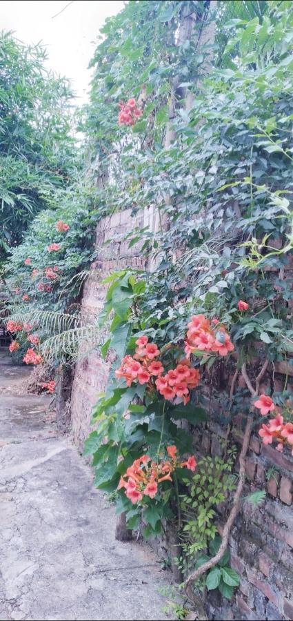 بافي Family Homestay المظهر الخارجي الصورة