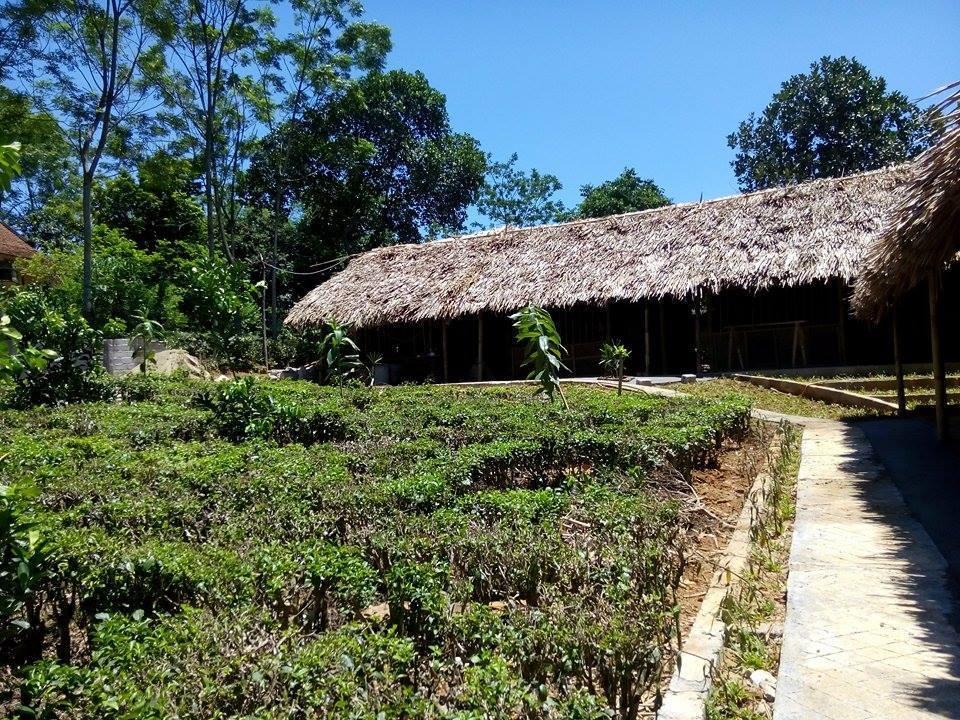 بافي Family Homestay الغرفة الصورة