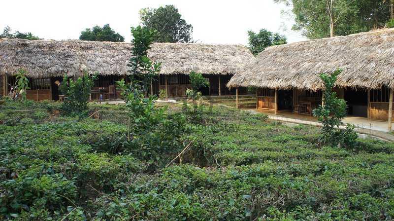 بافي Family Homestay الغرفة الصورة