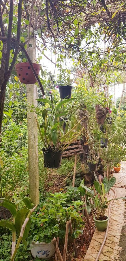 بافي Family Homestay المظهر الخارجي الصورة