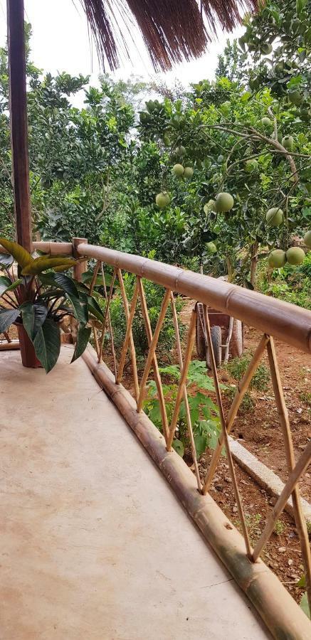 بافي Family Homestay المظهر الخارجي الصورة