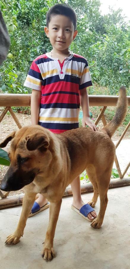 بافي Family Homestay المظهر الخارجي الصورة